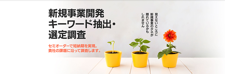 新規事業開発キーワード抽出･選定調査