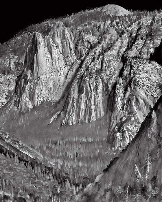 【地球を抱きしめる】山火事の爪痕