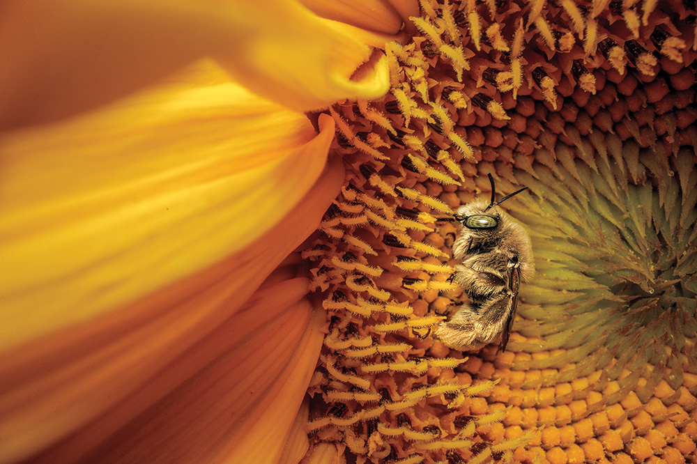 写真が記録した2025