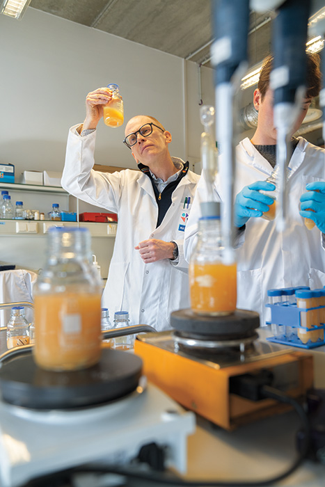 酔わないビールを開発する