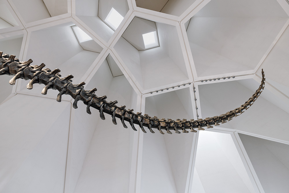 異色の博物館ができるまで