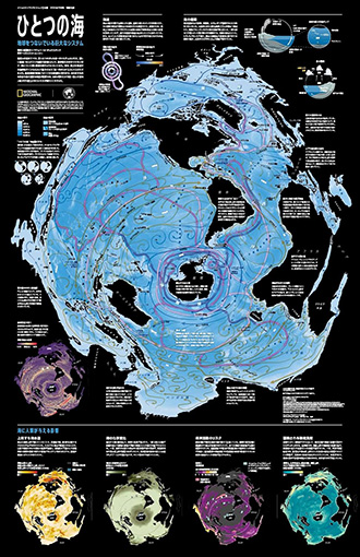 特製付録ポスター『海の世界地図／瀬戸際の海洋生物』（表）