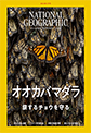 ナショナル ジオグラフィック