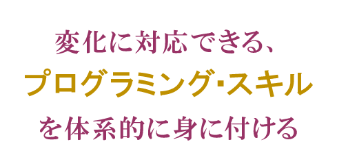 変化に対応できる、プログラミング・スキルを体系的に身に付ける