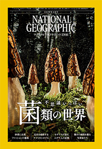 商品画像 ナショナルジオグラフィック日本版